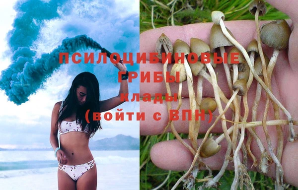меф Бородино