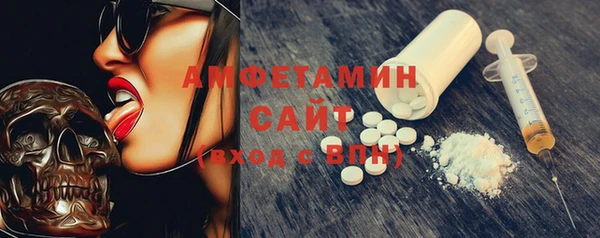 амф Верхний Тагил
