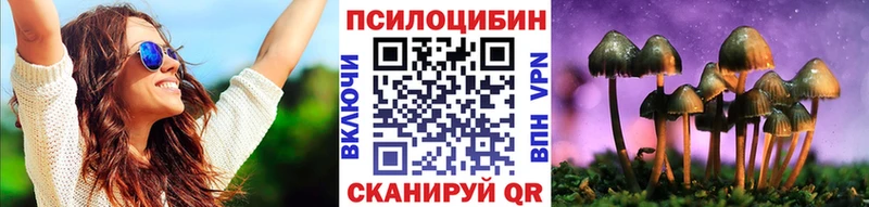 Галлюциногенные грибы MAGIC MUSHROOMS mega рабочий сайт Калининск площадка телеграм где можно купить наркотик
